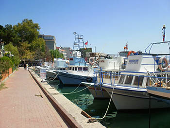 黒海の漁師たちと原発を語る～トルコ・シノップにて