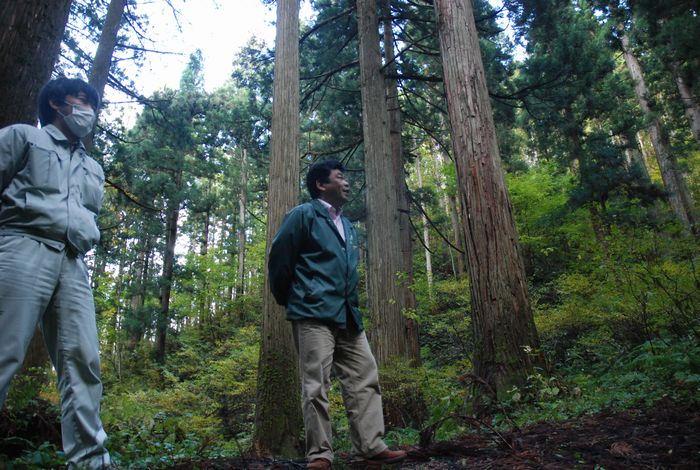 森林環境税の虚実～環境より林業振興？
