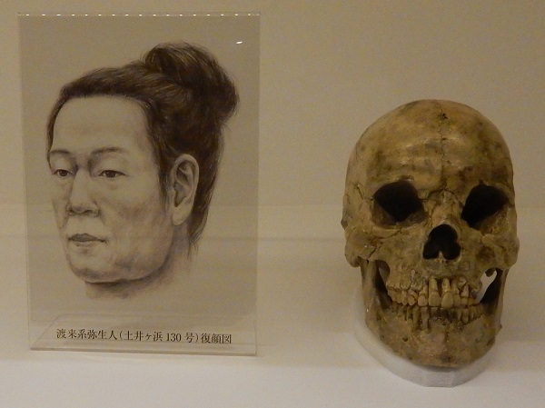 古代人研究も パーソナルゲノム の時代に 米山正寛 論座 朝日新聞社の言論サイト