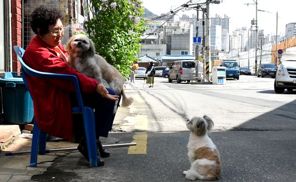 韓国　貧困に苦しむ高齢者たち
