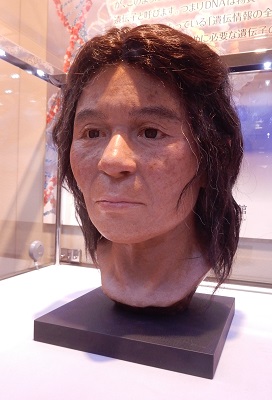 縄文人のゲノムが現代人並みに解読された 米山正寛 論座 朝日新聞社の言論サイト