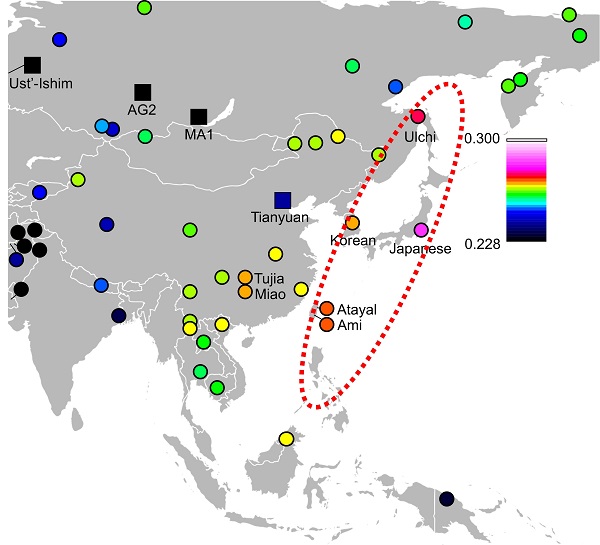 縄文人のゲノムが現代人並みに解読された 米山正寛 論座 朝日新聞社の言論サイト