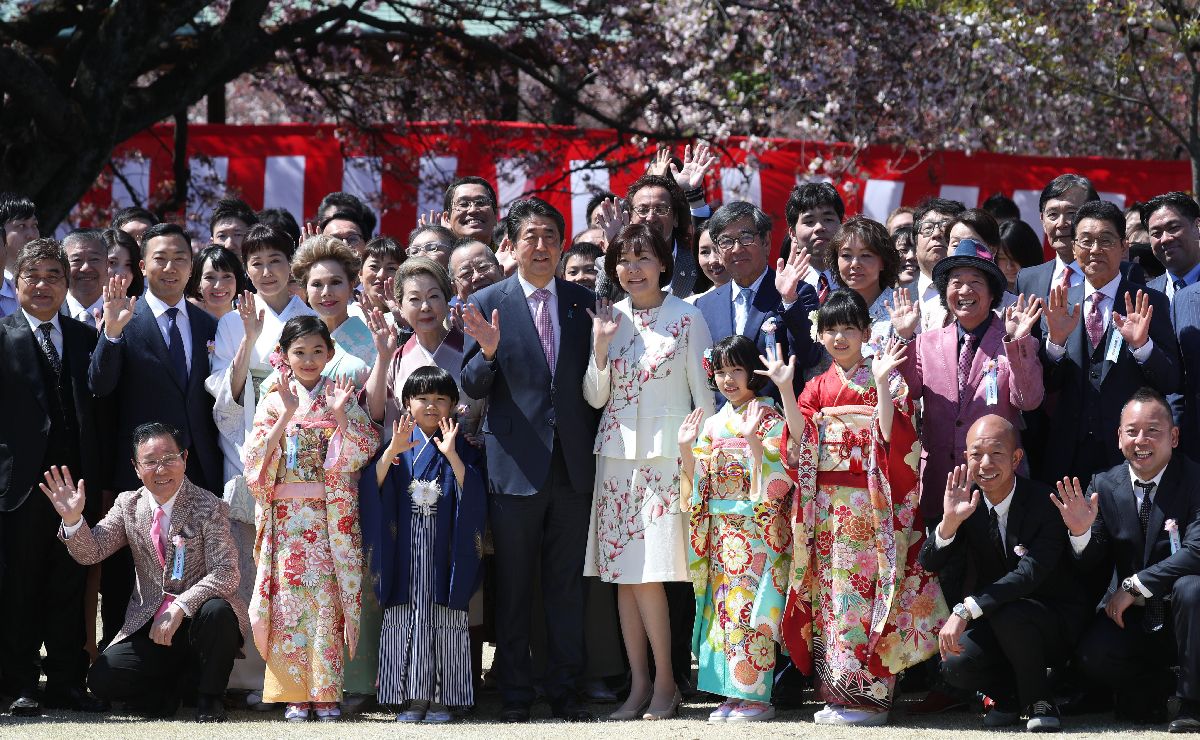 見る 悪い 会 を 桜 何 が