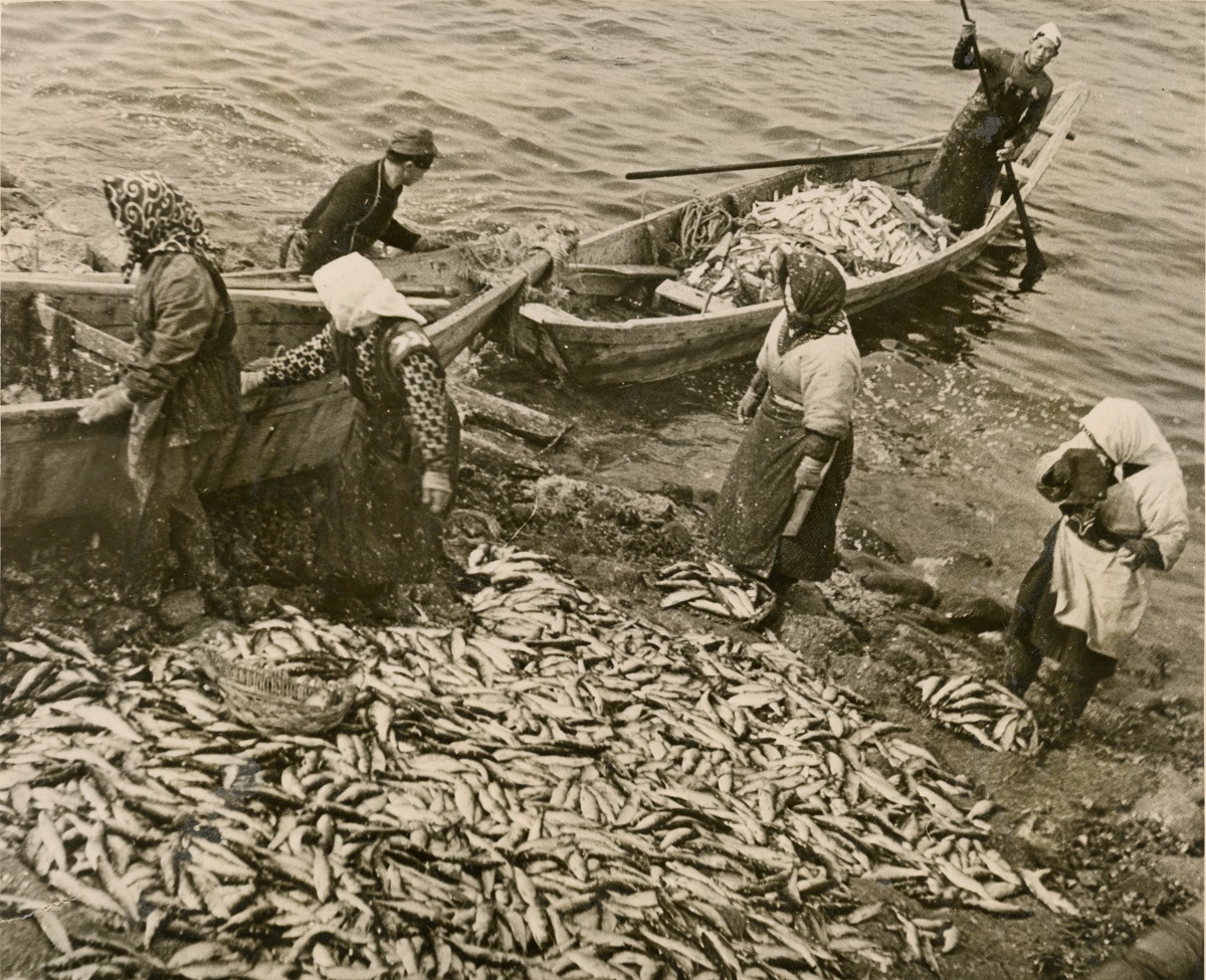 挽歌に封印された古代文字の謎 その１ 前田和男 論座 朝日新聞社の言論サイト