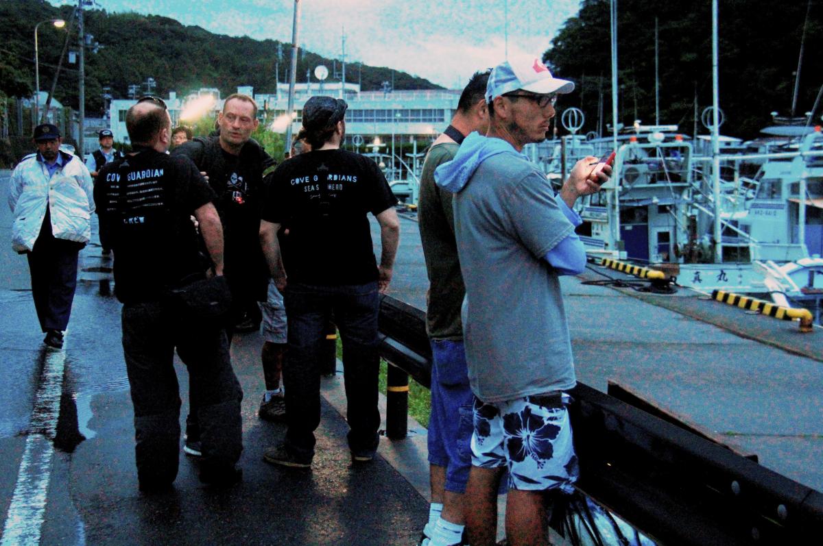 水族館のイルカショーを国際社会はどう見ているか 諸坂佐利 論座 朝日新聞社の言論サイト