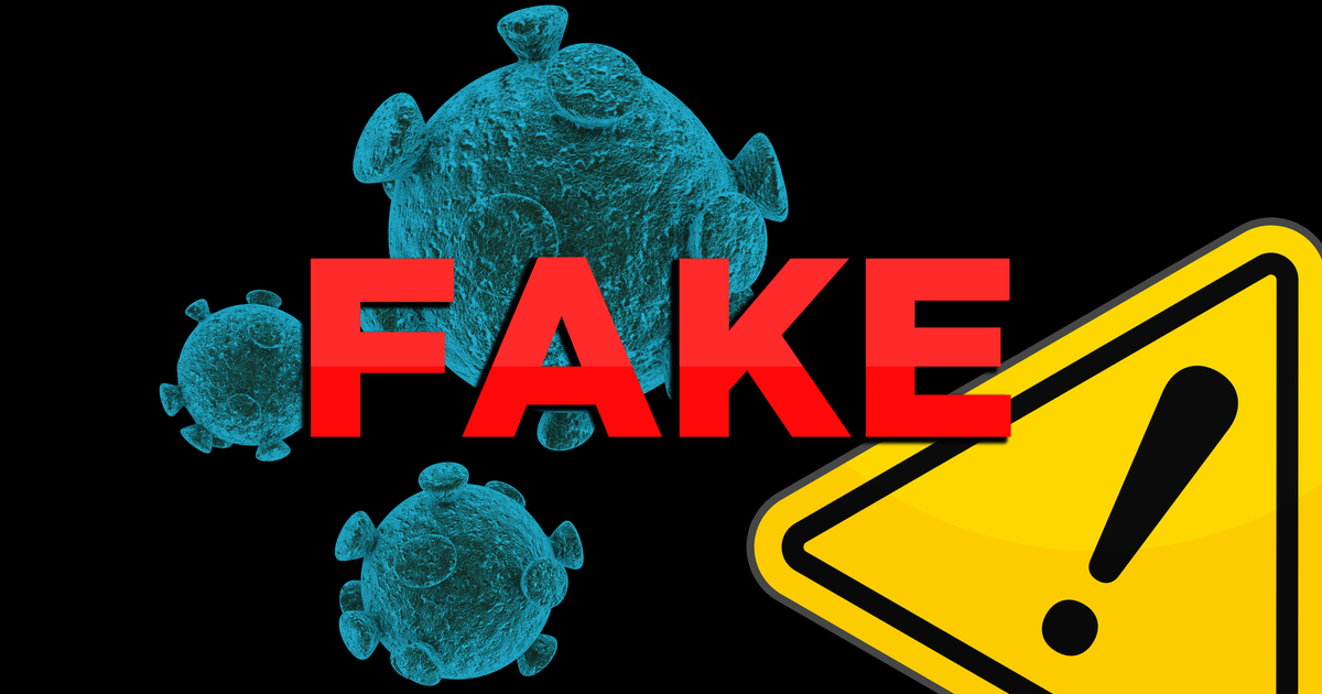 インフォ デミックス と は