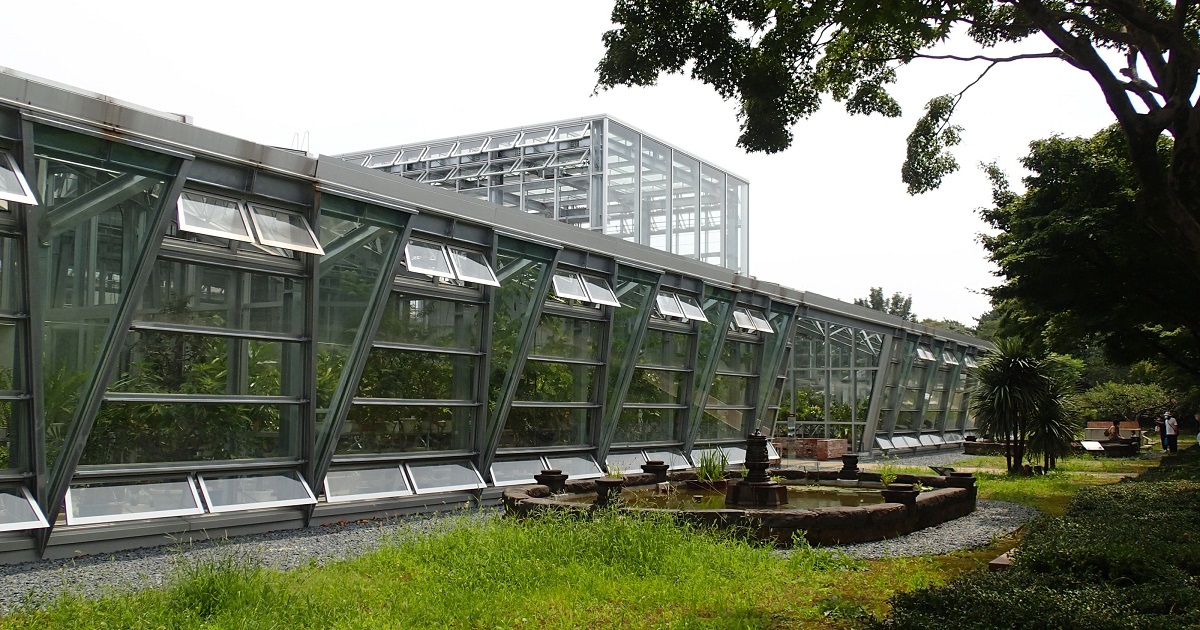 日本最古の小石川植物園に登場した新温室 米山正寛 論座 朝日新聞社の言論サイト