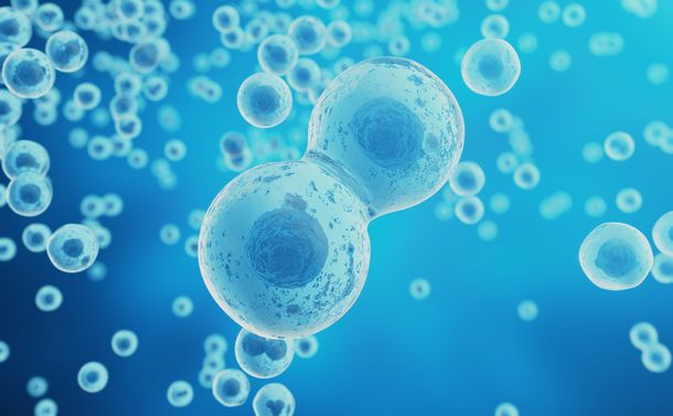 ノーベル医学生理学賞は細胞の栄養センサーを研究した二人と予想