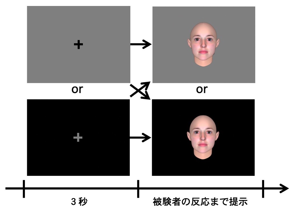 魅力的な人を見ると瞳孔が開く」は本当か？ - 下條信輔｜論座 - 朝日 