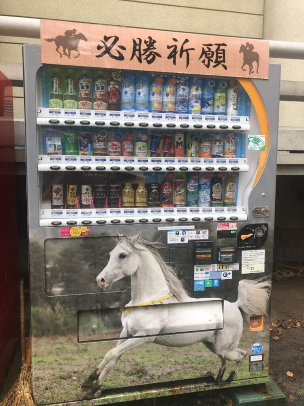 勝運を呼ぶ、競馬の神さまが御座（おわ）す京都・藤森神社 - 薄雲鈴代｜論座アーカイブ